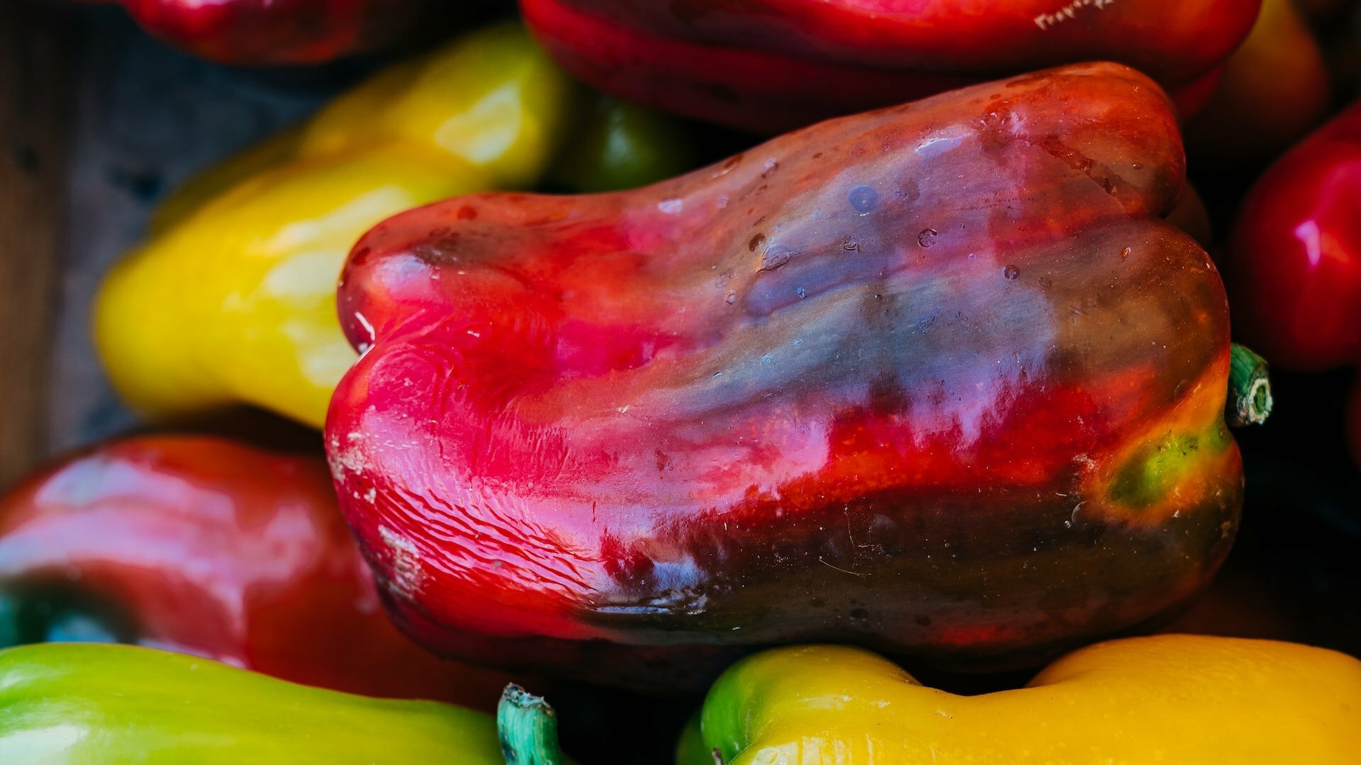 Top 10 Vegan Recipes for a Healthier Lifestyle